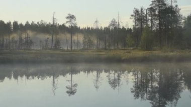 Finlandiya 'nın doğusundaki ormanlarda yaz gecesi sisli bir gölet.