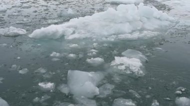 Isfjorden, Svalbard 'daki buzul, buz ve dağlar