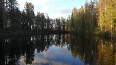 Finlandiya 'nın doğusunda vahşi bir nehrin kenarında huzurlu bir akşam.