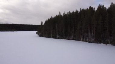 Finlandiya 'da kış aylarında donmuş bir gölün ormanlık kıyı şeridi boyunca dönen havadan.