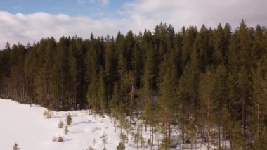 Finlandiya 'da kışın donmuş ve karlı bir gölün ormanlı kıyılarında geriye doğru uçar.