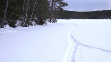 Finlandiya 'da kış aylarında karlı, donmuş göl ve yeşil ormanın elde taşınan videoları