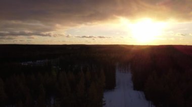 Finlandiya 'nın karanlık ormanlarında kışın küçük karlı bir yolda insansız hava aracı uçuşu.