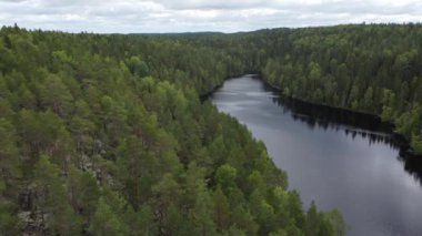 Finlandiya, Nasijarvi gölündeki bir orman adasının üzerinde uçmak