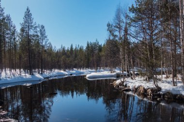 Finlandiya 'nın doğusunda, karlı ormanda yavaşça akan küçük bir nehir.