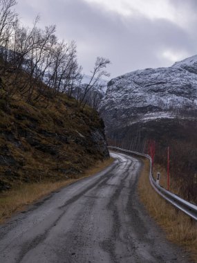 Kuzey Norveç 'teki karlı dağlara giden yol.