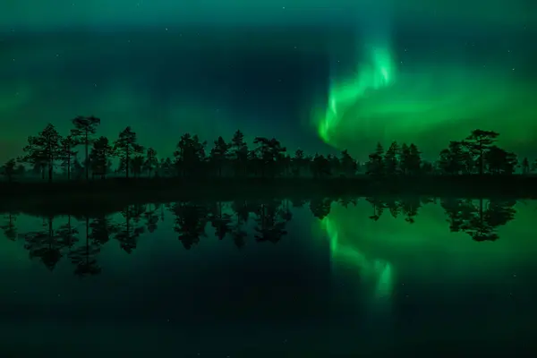Yeşil aurora borealis ışıkları Finlandiya 'da ormandaki küçük bir gölün yüzeyine yansır.