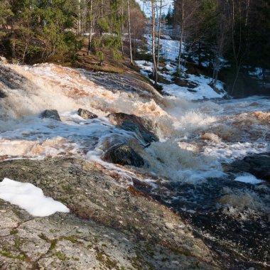Finlandiya 'da ormanlarda bahar sel gibi akar.
