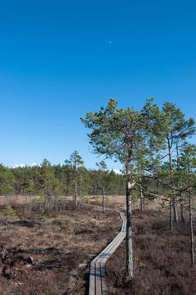 Pomarkku, Finlandiya 'daki Isoneva bataklıklarından geçen geçit.