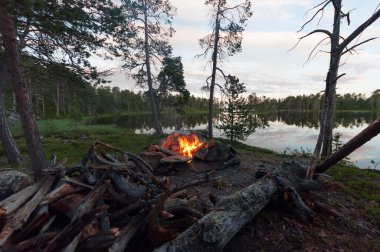Yaz aylarında Inari, Lapland, Finlandiya 'da arka planda göllü kamp ateşi ve yakacak odun.