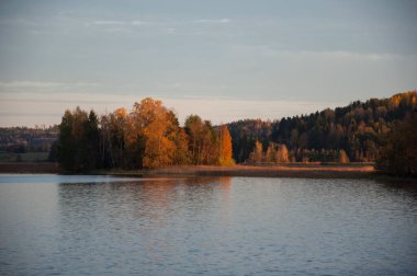 Finlandiya 'da göl kenarında sarı sonbahar renkleriyle orman manzarası
