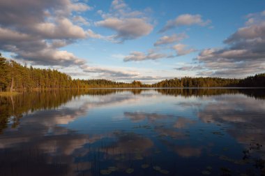 Finlandiya ormanlarındaki su yüzeyine bulutlar ve sonbahar gölü manzarası yansımaktadır.