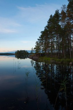 Finlandiya 'da göl kenarındaki ormanlarda sonbahar manzarası ve ön planda sazlıklar