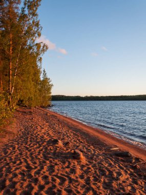 Finlandiya 'da yaz aylarında kumsalı kırmızıya boyamak