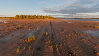 Laponya, Finlandiya 'daki Porttipahta gölünün kıyısında bulunan kumlara dökülen gölge.