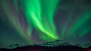 Kuzey Norveç 'te, sonbaharın sonlarında Lyngen dağları üzerinde Aurora Borealis.