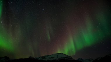 Kuzey Norveç 'te, sonbaharın sonlarında Lyngen dağları üzerinde Aurora Borealis.