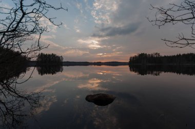 Güney Finlandiya 'da ağaç dalları arasında, ormanlık kıyıları olan sakin bir göl.
