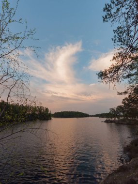 Finlandiya ormanlarında göl kenarında akşam
