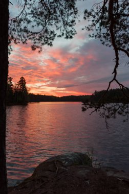 Early summer night by a lake in the forests of Finland clipart