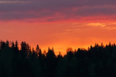 Early summer night by a lake in the forests of Finland clipart