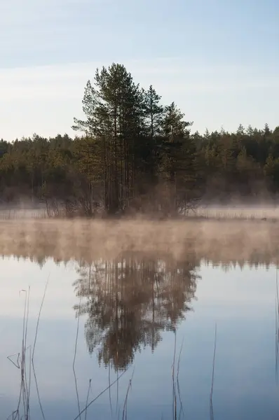Finlandiya ormanlarında bahar sabahı sisli bir gölde küçük bir ada