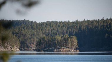 Göl manzarası, Finlandiya 'nın vahşi ormanlarındaki ağaç dallarının arasından görülür.