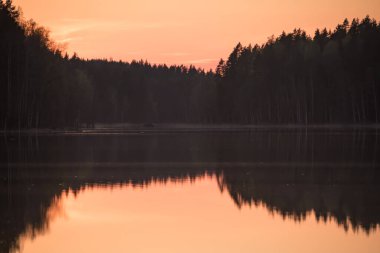 Finlandiya 'nın kozalaklı ormanlarında bahar akşamı günbatımında göl manzarası