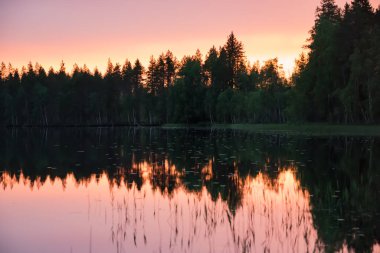 Finlandiya 'nın doğu ormanlarındaki bir gölün yüzeyinde yaz gecesi günbatımının yansıması.