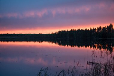 Finlandiya 'nın doğu ormanlarındaki bir gölün yüzeyinde yaz gecesi günbatımının yansıması.