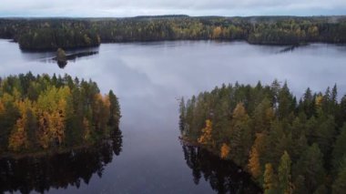 Finlandiya 'da göl kenarındaki sonbahar ormanlarında yükselen hava videosu