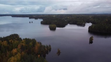 Finlandiya 'da göl kenarındaki sonbahar ormanlarının hava görüntüleri.