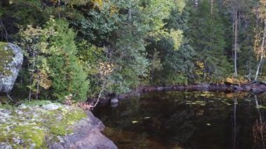 Finlandiya 'da göl kıyısında sonbahar ormanlarıyla yan uçuş videosu.