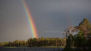 A rainbow against a grey sky leading to the green forests by  a lake in eastern Finland in summer