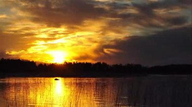 Finlandiya ormanlarındaki bir gölün kıyısındaki bir bahar sabahının zaman aşımı