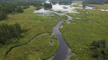 Finlandiya 'da bataklık nehir ve göl üzerinden yavaş ilerleyin.