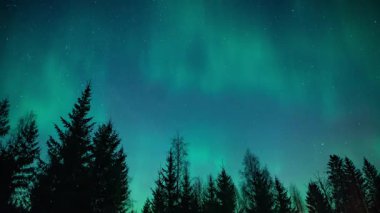Finlandiya 'nın Pirkanmaa kentindeki ormanların üzerindeki Aurora Borealis zamanı