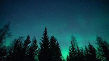 Finlandiya 'nın Pirkanmaa kentindeki ormanların üzerindeki Aurora Borealis zamanı