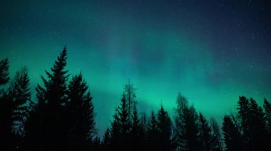 Finlandiya 'nın Pirkanmaa kentindeki ormanların üzerindeki Aurora Borealis zamanı