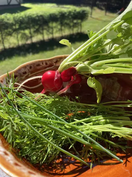 Tahta arka planda taze sebzeler