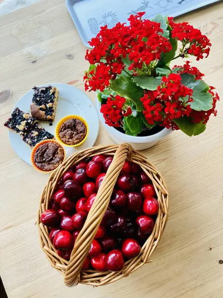 güzel manzara günlük hayat