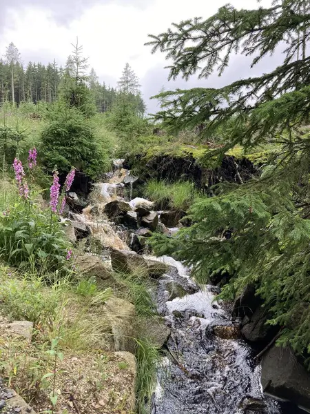 güzel manzara günlük hayat