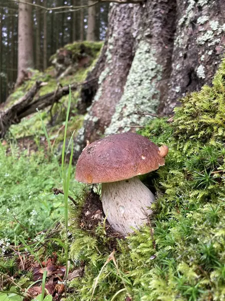 güzel manzara günlük hayat