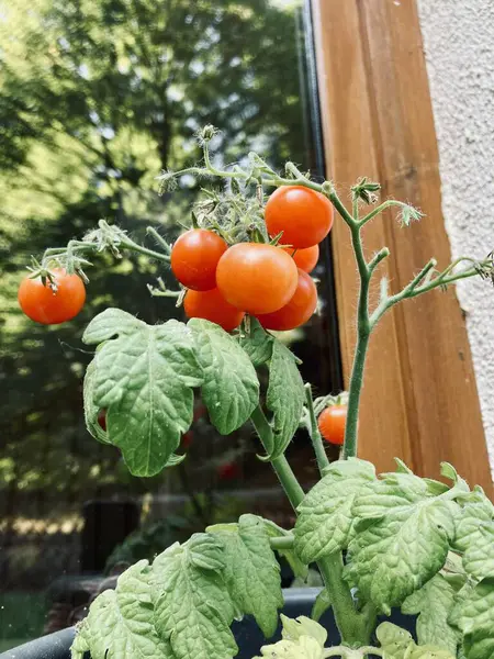 güzel manzara günlük hayat