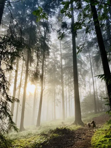 günlük hayattan görüntüler
