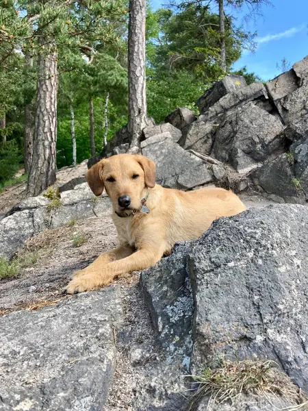 günlük hayattan görüntüler