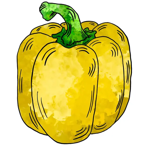 Овочевий Акварельний Жовтий Перець — стокове фото