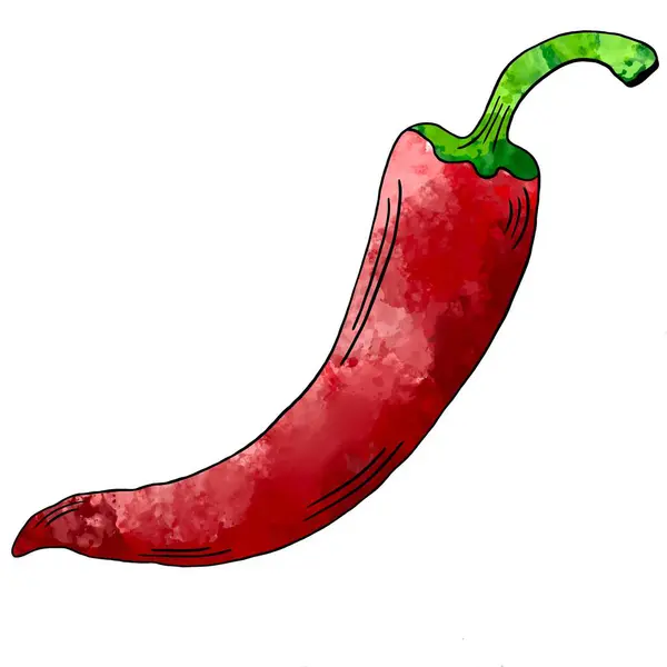 Vegetabilisk Akvarell Röd Chilipeppar — Stockfoto
