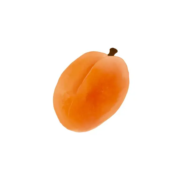フルーツウォーターカラーオレンジジュースアプリコット — ストック写真