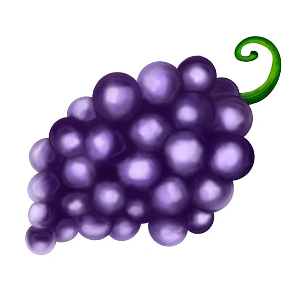 在白色背景上分离的紫色葡萄浆果 — 图库照片